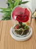 RoseBox生日礼物永生花小王子玫瑰花结婚纪念日新婚送女朋友新娘高级实用 实拍图