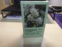 亮佰净衣柜防霉防虫防潮除味驱虫香薰包樟脑丸除臭除螨持久留香栀子花香 实拍图