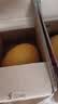 京鲜生 黄金哈密瓜 1粒装 单果3斤起  中秋生鲜水果 实拍图