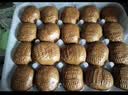 广州酒家核桃包750g 20个早餐半成品早茶点心包子面点食品生鲜速食美食 实拍图