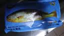 海名威 冷冻黄花鱼700g/2条 宁德大黄鱼 海鱼 生鲜鱼类 海鲜水产 中秋 实拍图