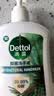 滴露（Dettol）洗手液液体经典松木500g+500g补充装儿童家庭护手替换 实拍图