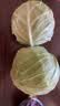 京鲜生山东新鲜绿甘蓝净重3斤 卷心菜 包菜 甘蓝新鲜蔬菜 源头直发 实拍图