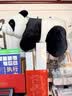 爱尚熊大熊猫玩偶公仔毛绒玩具娃娃睡觉抱枕成都纪念品儿童生日礼物女孩 实拍图