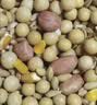 汴都铺子豆浆料包五谷杂粮豆浆包原料五黑备孕破壁机食材组合气血独立包装 30款口味 35g*30袋 实拍图