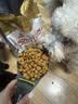 皇家狗粮 柴犬幼犬狗粮 犬粮 宠物小型犬 SIJ29 全价犬粮 2-10月 3KG 实拍图