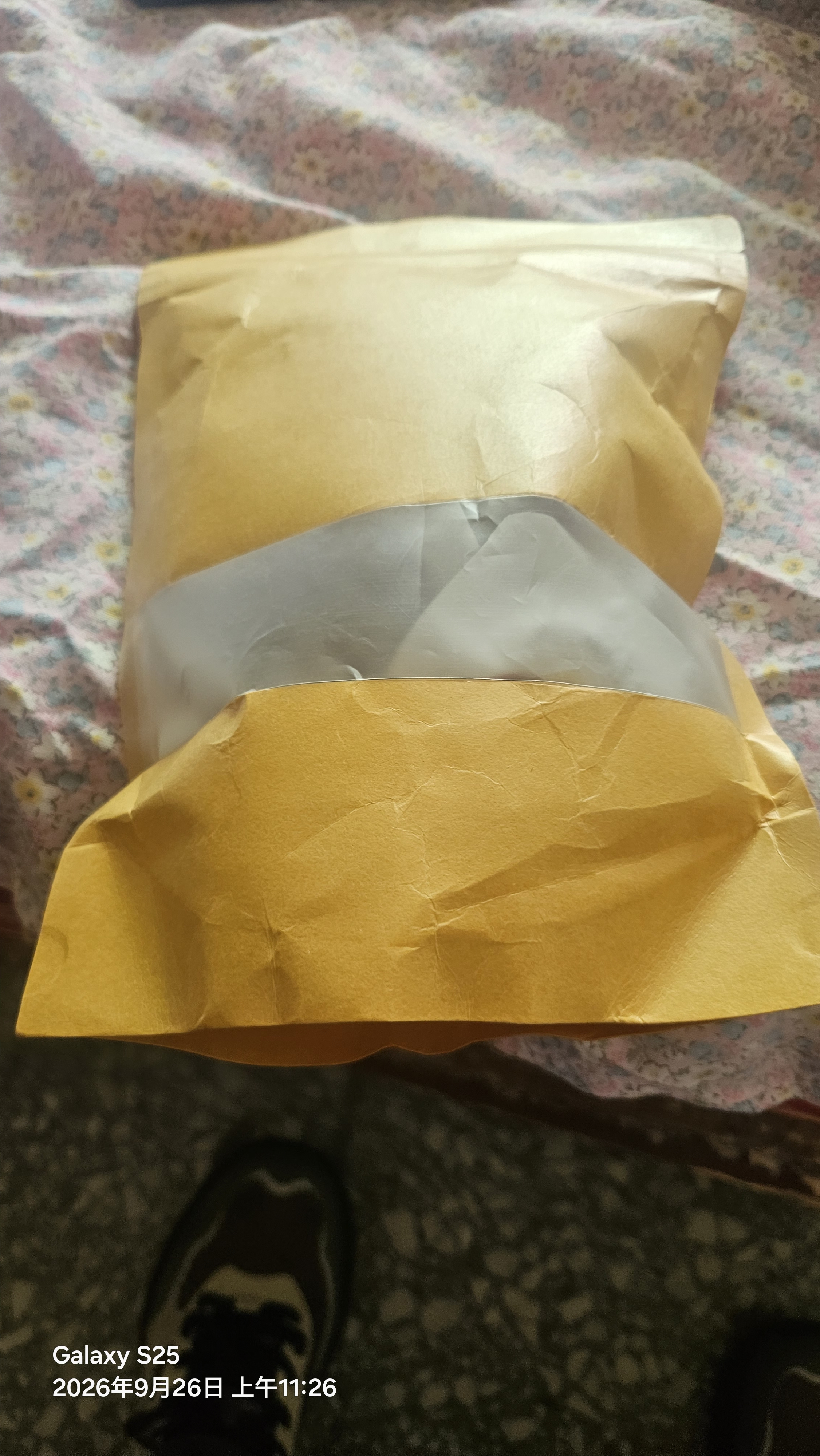 海边人 高蛋白鱿鱼仔带籽250g青岛特产即食墨鱼仔休闲解馋海鲜零食 实拍图