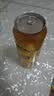 剑南春红盒 醇酿经典绵竹大曲 52度 500ml*6瓶 整箱装浓香型白酒 实拍图