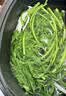 蒿子杆300g(茼蒿） 实拍图