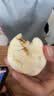 巴比香辣粉丝包300g*2包12只包子面点速食儿童早餐速冻半成品加热即食 实拍图