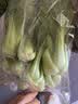 上海青约500g(油菜) 实拍图