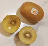 佳沛（zespri）新西兰金奇异果22粒巨大原箱146-175g猕猴桃水果礼盒 实拍图