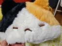 婴果小岛正版趴趴猫咪抱枕小猫玩偶睡觉抱毛绒可爱公仔圣诞节生日礼物女生 花花小猫 50cm【正版联名】 实拍图