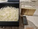 肌肤之钥（CPB）白隔离30mL防晒礼盒生日礼物 实拍图