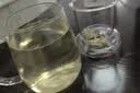 物生物（RELEA）玻璃杯男女士茶水分离杯耐高温办公泡茶杯带把高硼硅水杯花茶杯子 实拍图