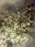 福茗源花草茶 茉莉花苞 特级品质横县三伏晴天茉莉花茶花蕾养生花茶100g 实拍图