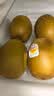 佳沛（zespri）新西兰金奇异果12粒特大果124-146g猕猴桃水果礼盒 实拍图
