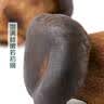 黑牛肝菌180g（2只装） 实拍图