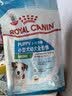 皇家狗粮幼犬成长礼盒（幼犬粮 800g+成犬粮 50g*5）小型犬 泰迪 贵宾 实拍图