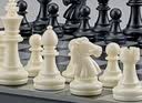 友邦（UB） 国际象棋磁性折叠便携成人儿童学生教学露营用棋4812B-C(大号) 实拍图