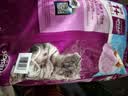 伟嘉成猫猫粮3.6kg海洋鱼味布偶夹心粮【原料透明】 实拍图