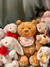 Jellycat巴塞罗熊动物毛绒玩偶儿童安抚公仔小熊潮玩送礼生日礼物 巴塞罗熊 Medium 实拍图