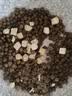 网易严选全价猫粮4.0 成幼猫三文鱼亮毛护肠胃深海鱼虾味10kg【宠物金选】 实拍图