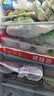 广州酒家核桃包750g 20个早餐半成品早茶点心包子面点食品中秋送礼美食 实拍图