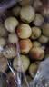 吉琪多 山东沾化脆冬枣 净重4.5斤 单果约8g起  时令新鲜冬枣水果 实拍图
