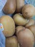 佳沛（zespri）新西兰  阳光金奇异果12粒特大果单果124-146g 猕猴桃 实拍图