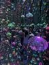 七度空间少女420超长夜用卫生巾100%纯棉亲肤超薄透气24片【新国标认证】 实拍图