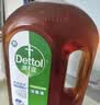 滴露（Dettol）消毒液洗衣衣物消毒水750mL 除螨杀菌混洗无忧 家居地板消毒 非84 实拍图