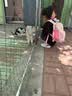 SHUKIKU儿童书包幼儿园防丢失防泼水大容量户外旅游双肩包桃子果汁S+码 实拍图