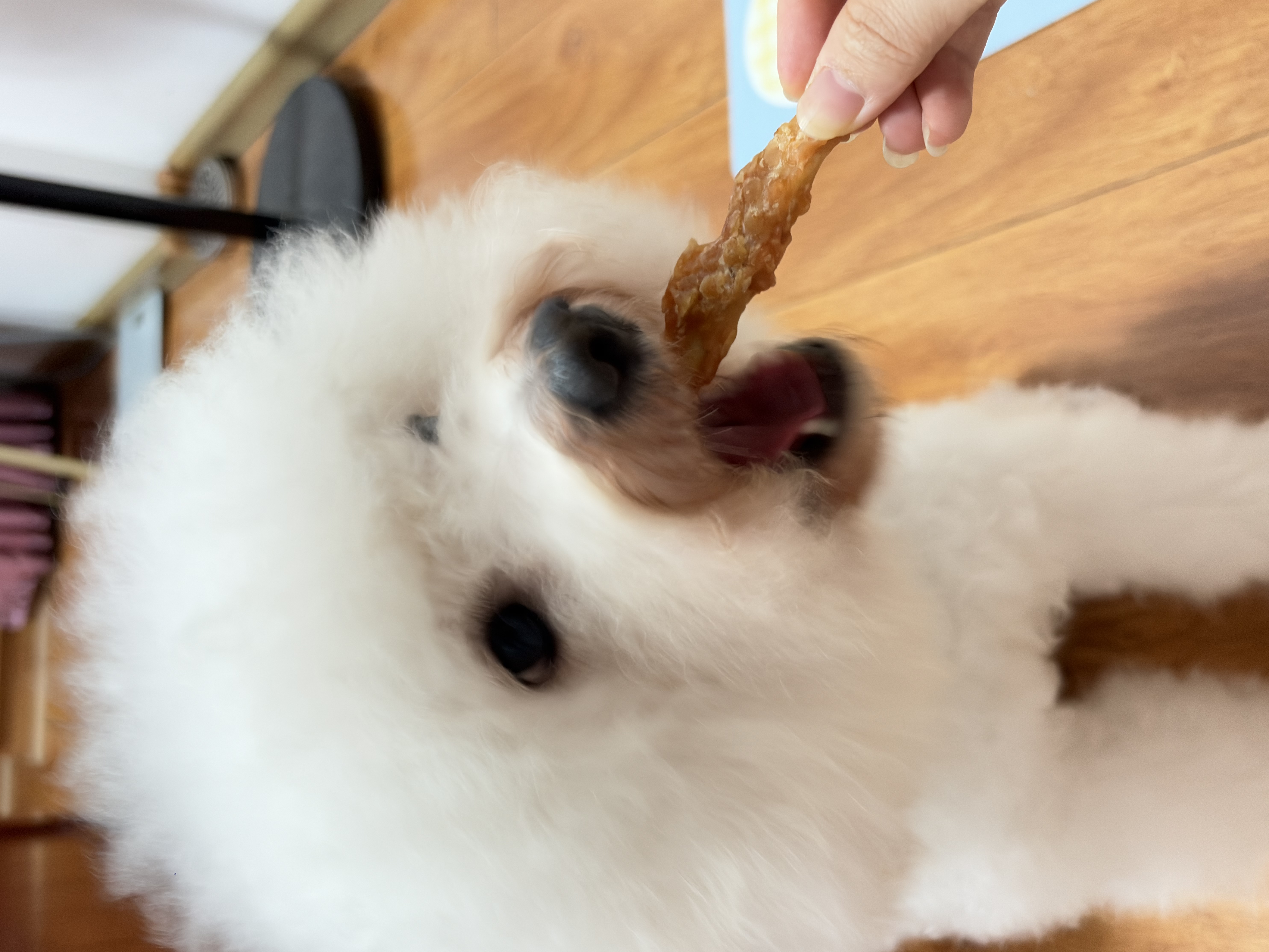 宠物零食狗狗零食耐咬洁齿鸡鸭肉绕饼干磨牙棒大中幼型犬泰迪 鸡肉绕牛皮磨牙棒 1000g/真牛皮磨牙棒 实拍图