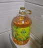 金龙鱼 食用油 非转基因 物理压榨玉米油6.18L（蕴含植物甾醇） 实拍图