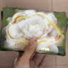 babycareair pro拉拉裤XXXXL码24片（大于19kg) 婴儿尿不湿夏日超薄透气 实拍图