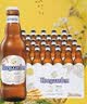 福佳白精酿啤酒330ml*24瓶整箱装比利时风味百威集团国庆出行 实拍图
