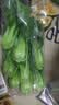 上海青约500g(油菜) 实拍图