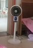 扬子电风扇空气循环扇智能语音风扇家用卧室客厅大风量落地扇台扇两用轻音摇头杨子循环扇循环风扇制冷 三米线+大电机遥控大头款（自动摇头） 实拍图