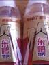东鹏特饮【张雪机车同款】有奖版 牛磺酸B族维生素运动饮料250ml*24瓶整箱 实拍图