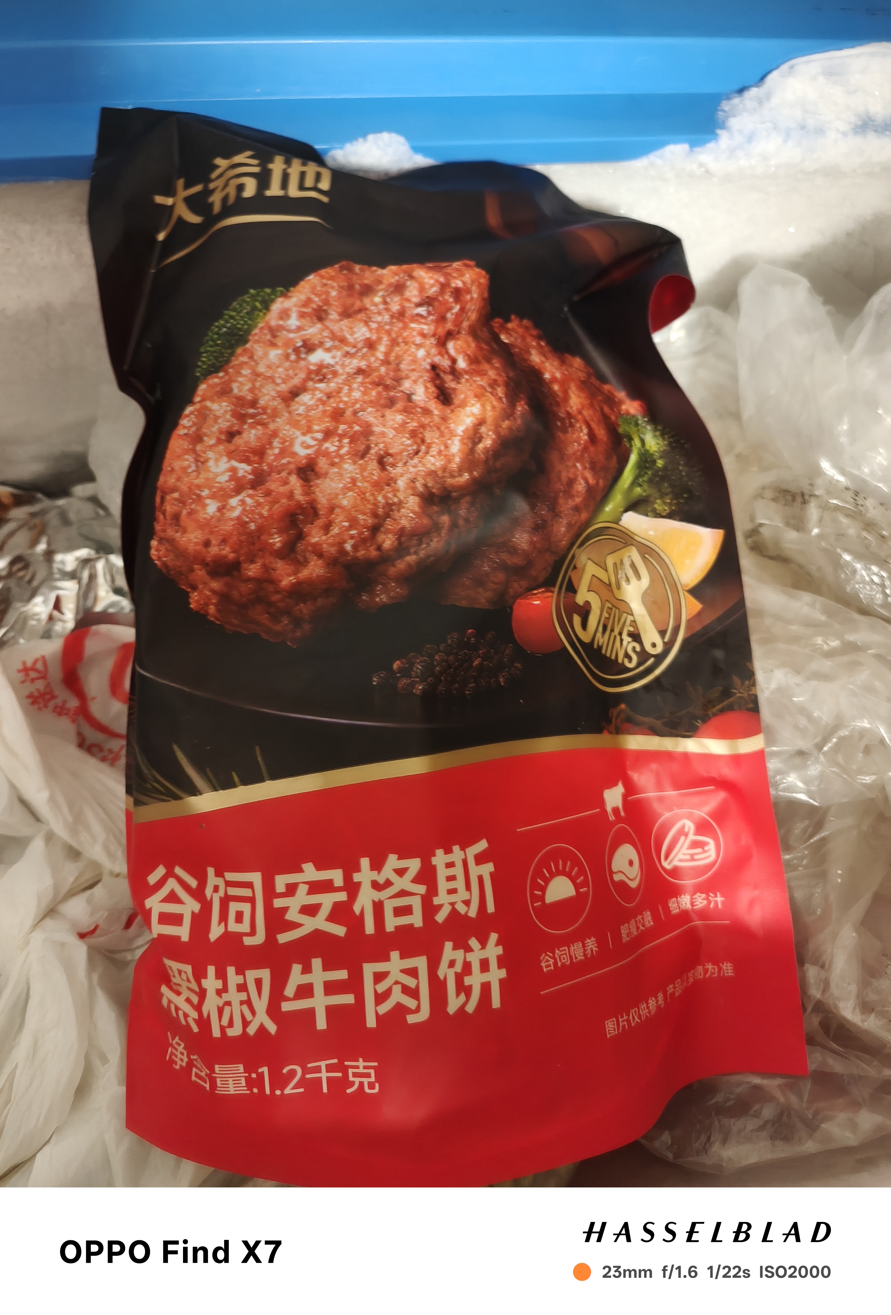 大希地腌制入味免调味牛肉饼安格斯谷饲牛肉饼1.2kg 汉堡儿童早餐烧烤 实拍图