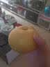 京地达山东丰水梨净重8.8斤大果350g+京东自营新鲜纯甜梨子源头直发包邮 实拍图