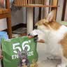 京东京造狗粮老年犬中小型狗粮高鲜肉鲜蒸抗初老护关节易消化7岁+狗粮2kg 实拍图