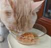 网易严选猫罐头猫湿粮宠物零食浓汤大口肉罐头 鸡肉 85g*6罐 实拍图