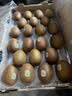 佳沛（zespri）新西兰金奇异果22粒巨大原箱146-175g猕猴桃中秋节礼品送水果礼盒 实拍图