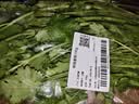 带根香菜100g 实拍图