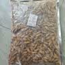特级金丝蚕蛹鲜活冰冻新鲜活体山东特产商用烧烤火锅生鲜食材批发 特级金丝蚕蛹净重2斤 冰鲜 实拍图
