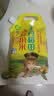 十月稻田 赤峰小米 1kg 内蒙古敖汉旗 黄小米杂粮 小米黄小米 中秋送礼 实拍图