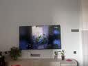 TCL电视 65T5M Plus 65英寸 QD-Mini LED控光 360Hz超高刷 QLED量子点 安桥音响 WiFi6 T5M Pro同款 实拍图