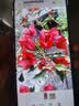 HUAWEI Pura 80 Pro+  16GB+512GB 釉青一英寸高动态主摄  个性色卡AI辅助构图 鸿蒙系统华为手机 实拍图